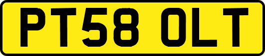 PT58OLT