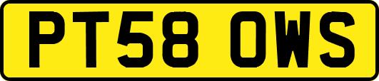 PT58OWS