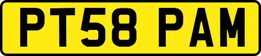 PT58PAM