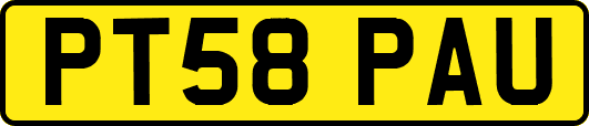 PT58PAU