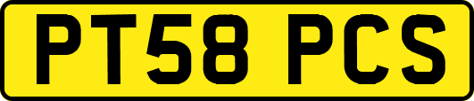 PT58PCS
