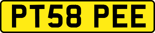 PT58PEE