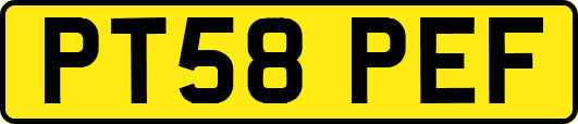 PT58PEF
