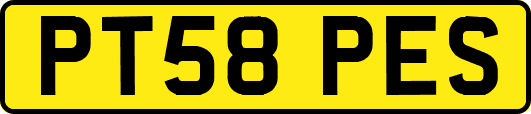 PT58PES