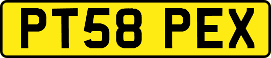 PT58PEX