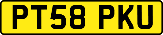 PT58PKU