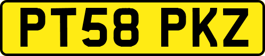 PT58PKZ