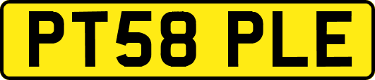 PT58PLE