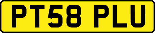 PT58PLU