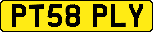 PT58PLY