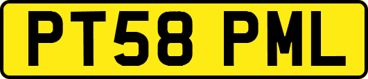 PT58PML