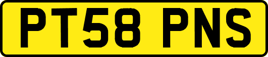 PT58PNS
