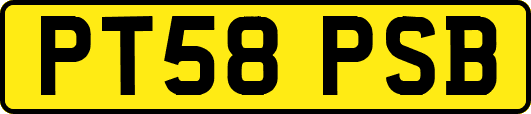 PT58PSB