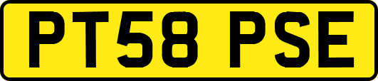 PT58PSE