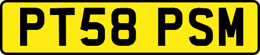 PT58PSM