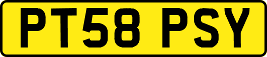 PT58PSY