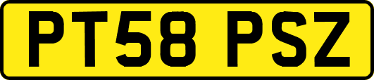 PT58PSZ