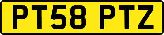 PT58PTZ
