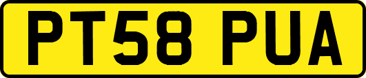PT58PUA