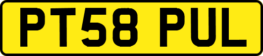 PT58PUL