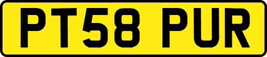 PT58PUR