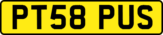 PT58PUS