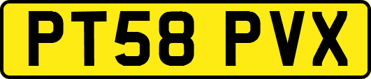 PT58PVX