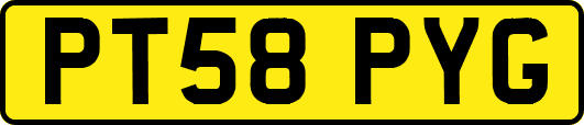 PT58PYG