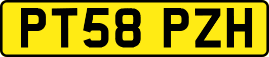 PT58PZH