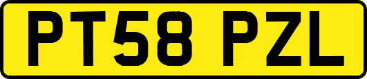 PT58PZL