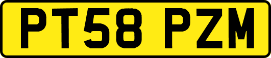 PT58PZM