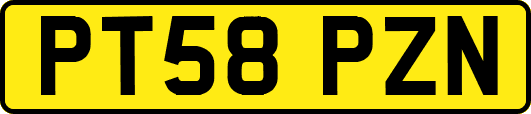 PT58PZN