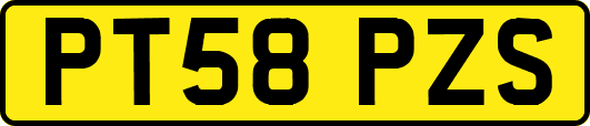 PT58PZS
