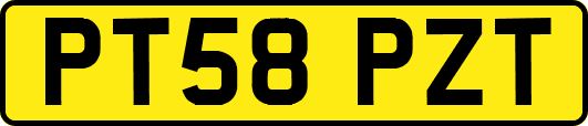 PT58PZT