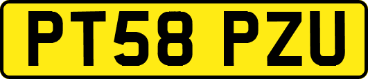 PT58PZU
