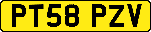 PT58PZV