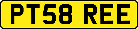 PT58REE