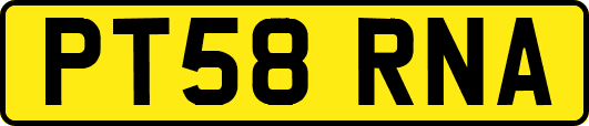 PT58RNA