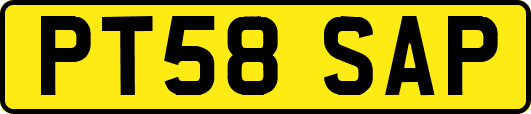 PT58SAP