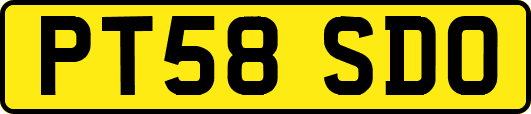 PT58SDO