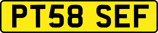 PT58SEF