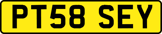 PT58SEY