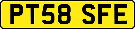 PT58SFE