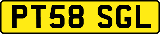 PT58SGL