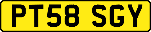 PT58SGY