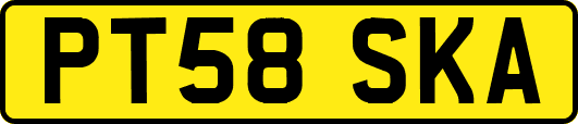 PT58SKA