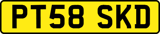 PT58SKD