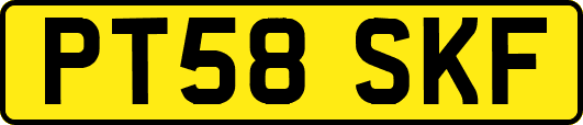 PT58SKF
