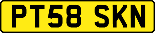 PT58SKN