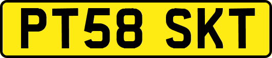 PT58SKT